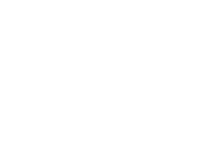 dominant cleaning services